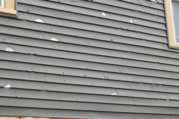 Best James Hardie Siding  in Marshfield, WI