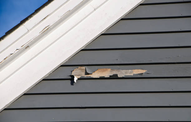 Best Stucco Siding  in Marshfield, WI